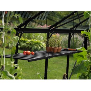 Schwarzes, abklappbares Aluregal (120x30cm) im Gewächshaus mit Pflanzen und Tomaten.