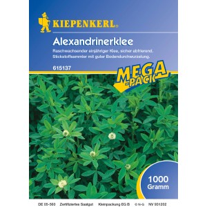 Kiepenkerl Alexandrinerklee Gründünger, Packung mit grünen Klee Pflanzen und weißen Blüten.