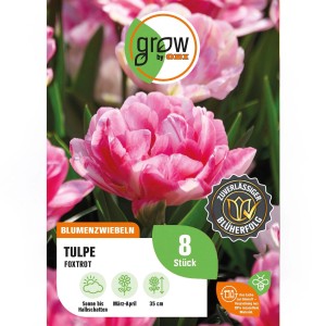 GROW by OBI Tulpe Foxtrot Rosa, gefüllte Blüte. Blumenzwiebeln für Beet und Garten.