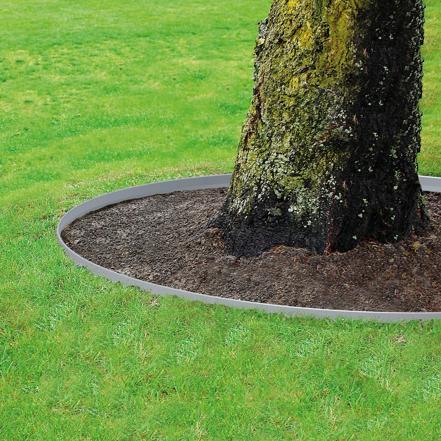 Bellissa Rasenkante aus verzinktem Metall um einen Baum im Garten. Raseneinfassung, 118 cm lang.