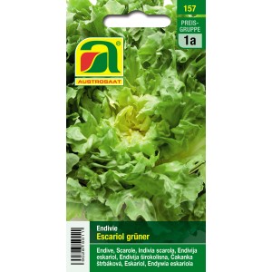 Austrosaat Saatgut Endivie "Escariol grüner" schmackhaftes Herbstgemüse