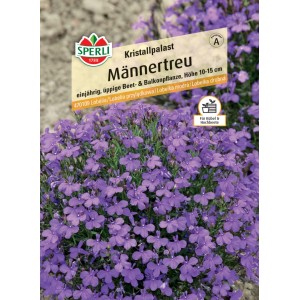 Sperli Männertreu Kristallpalast: Tiefblaue Blüten der beliebten Blumensamen-Sorte.