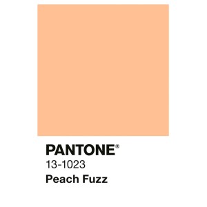 Pantone Peach Fuzz Farbmuster 13-1023. Alpina Innenfarbe Pastellorange.