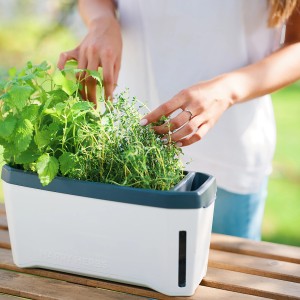 Weißes Gusta Garden Anzuchtsgefäß Harry Herbs 5L mit Kräutern und Wasserstandsanzeige.