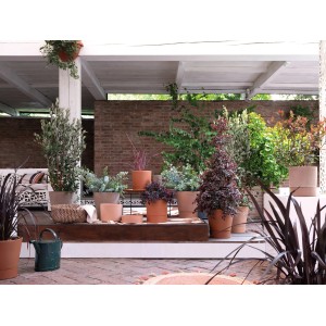 Deroma Modul'O Pflanzschalen aus Terrakotta in verschiedenen Größen und mit Bepflanzung.