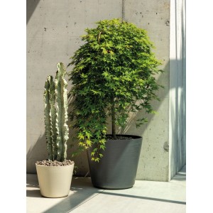 Deroma Wow Pflanztopf Sandgrau, Ø 37 cm, aus recyceltem Kunststoff, frost- & UV-beständig.