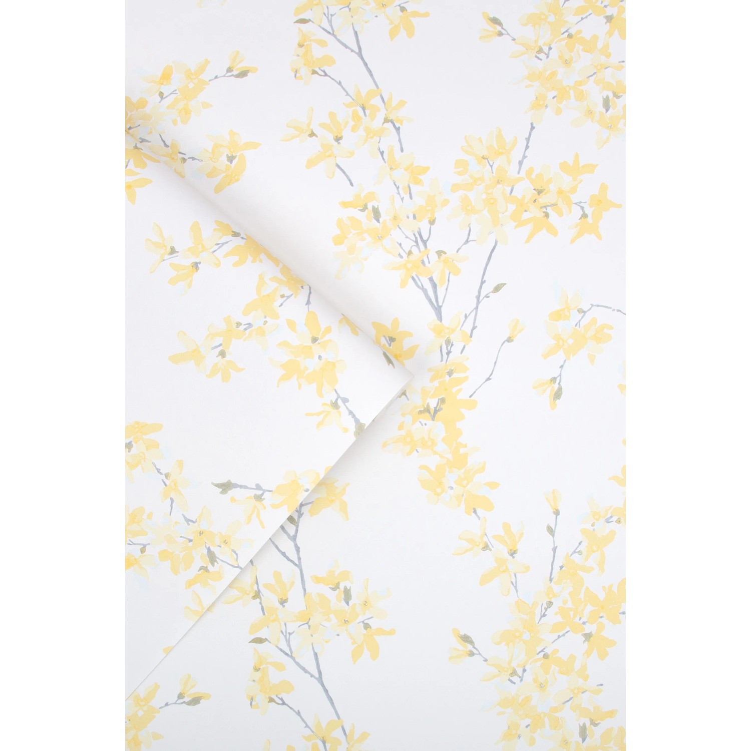 Laura Ashley Vliestapete Forsythia Sunshine mit gelben Blüten auf weißem Grund.