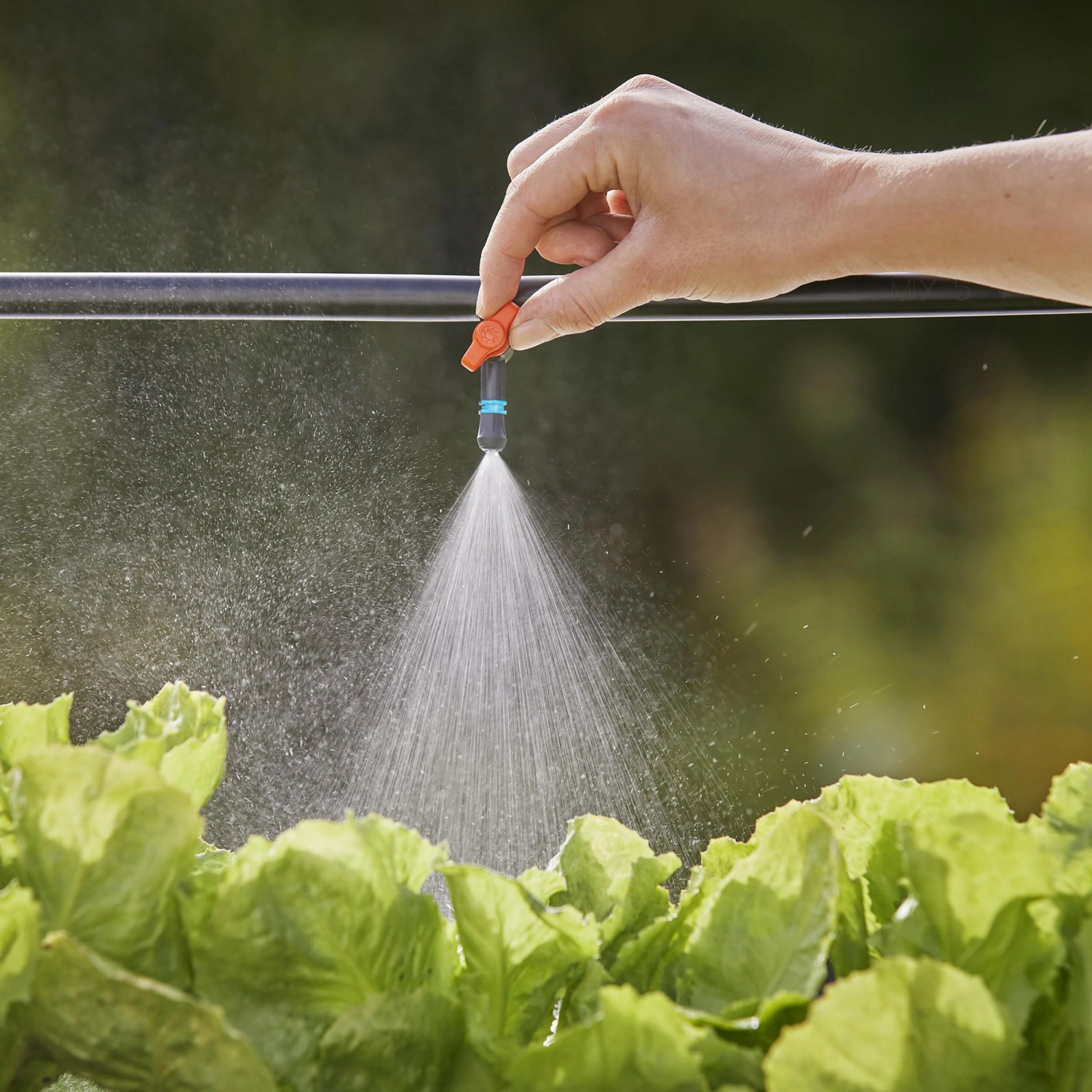 Gardena Nebeldüse im Einsatz: Gezielte Bewässerung von Salat mit Micro-Drip-System.