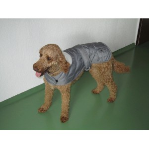 Hundebekleidung kaufen bei OBI