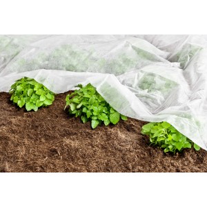 Windhager Garten-Vlies schützt junge Pflanzen vor Frost und Schädlingen.