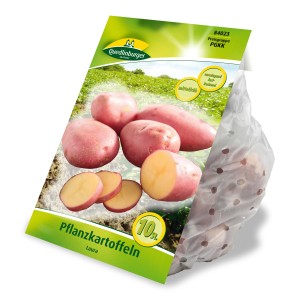 Quedlinburger Pflanzkartoffeln Laura, rotschalig, gelbfleischig, Kleinpackung.