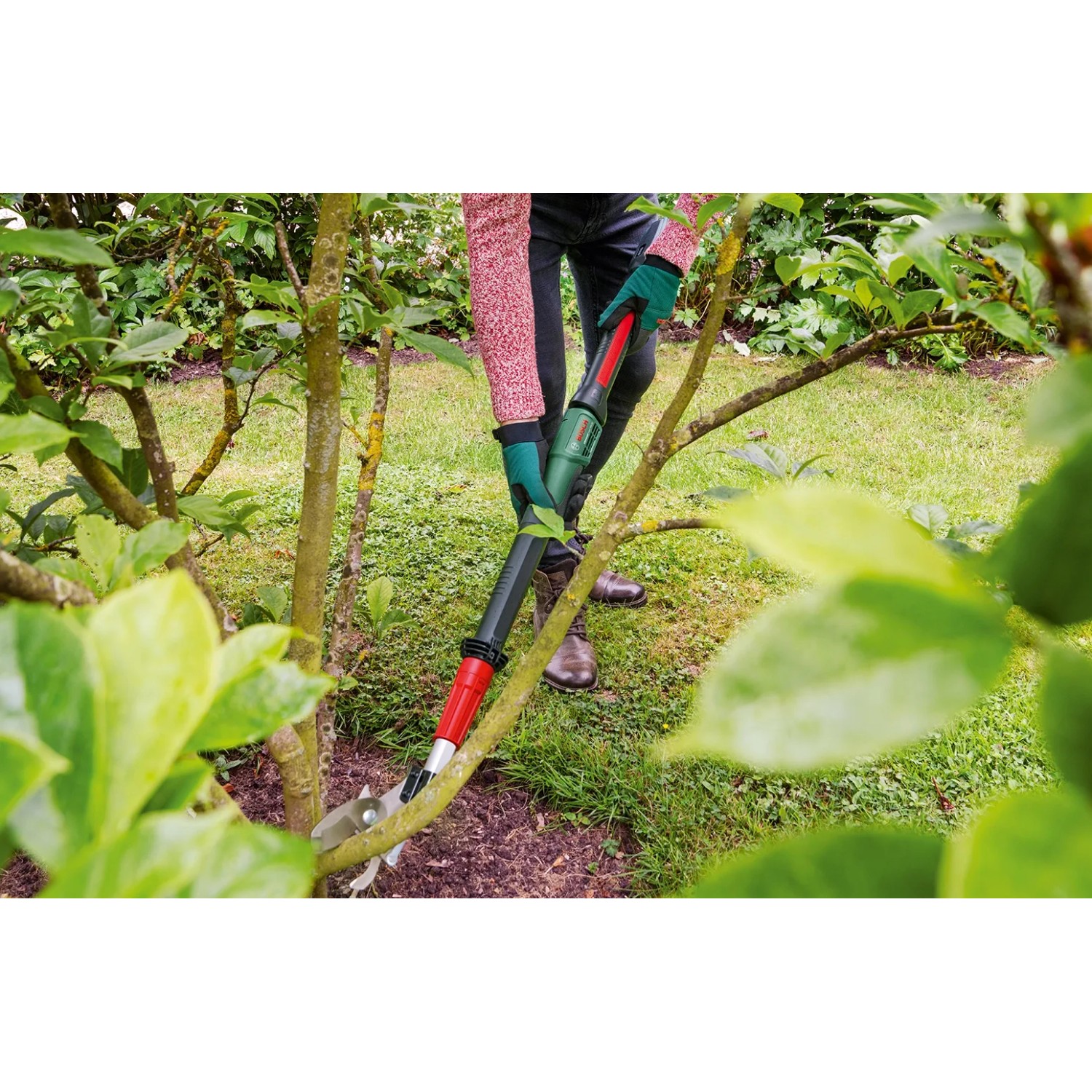 Bosch Akku-Baumschere Advanced Prune 18V-45 im Einsatz beim Schneiden von Ästen im Garten.