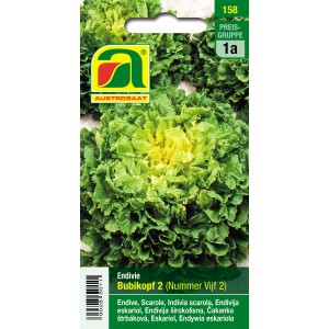 Austrosaat Endivie Bubikopf 2 Saatgut für Herbstgemüse.