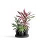 Ecopots Pflanztopf Dubai Dunkelgrau Ø 57 cm / Höhe 30 cm_2