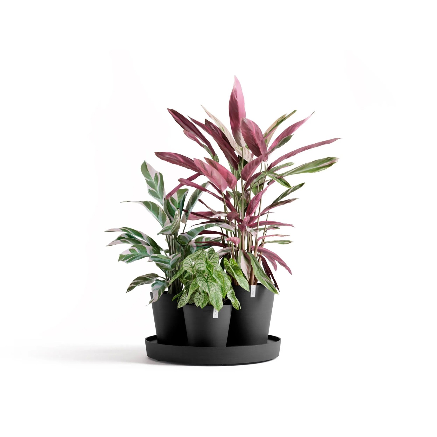 Ecopots Pflanztopf Dubai Dunkelgrau Ø 57 cm / Höhe 30 cm_2