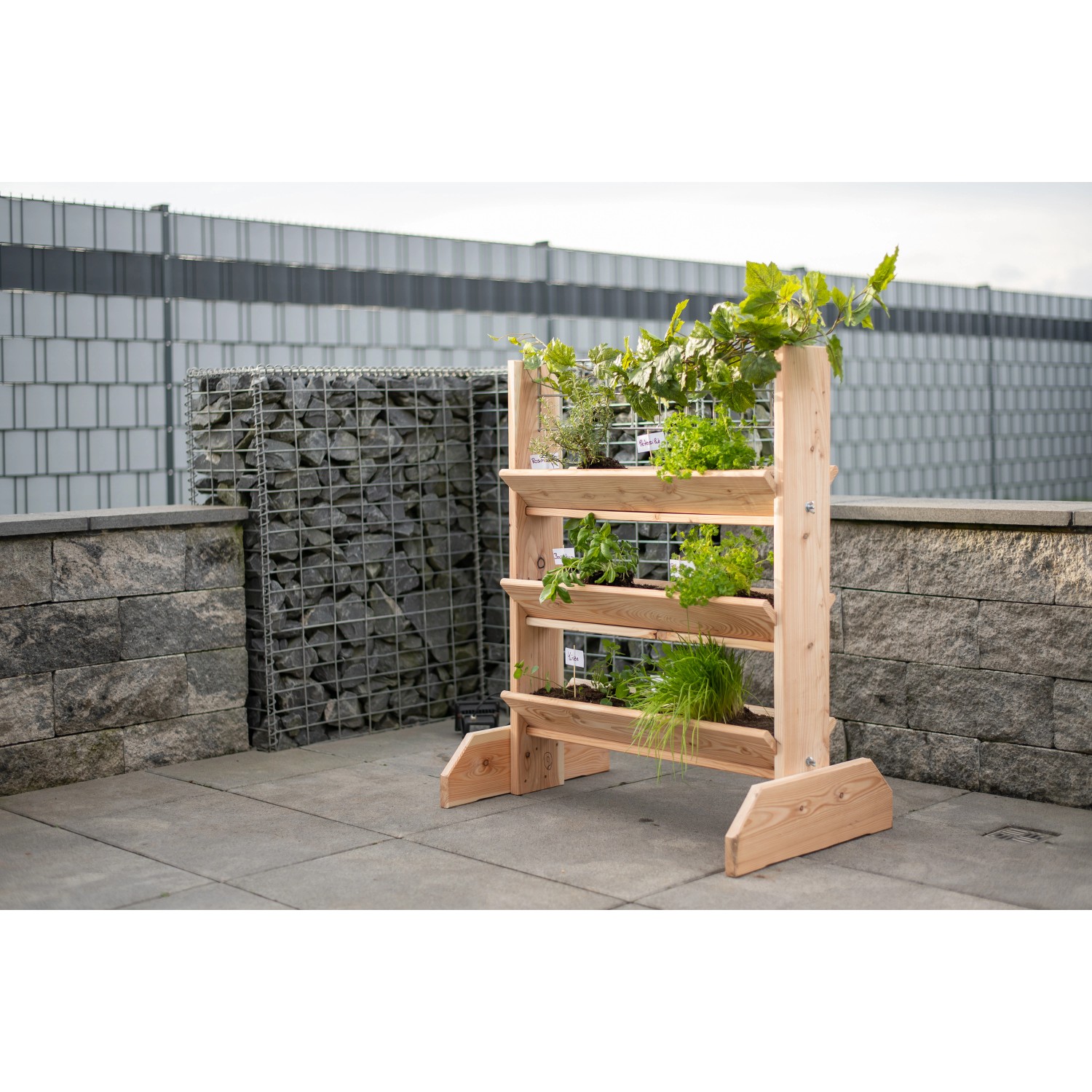 Westmann Kräuterregal Premium L aus Lärche mit 3 Ebenen und Rankgitter, bepflanzt mit Kräutern.