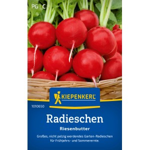 Kiepenkerl Radieschen Radies "Riesenbutter"