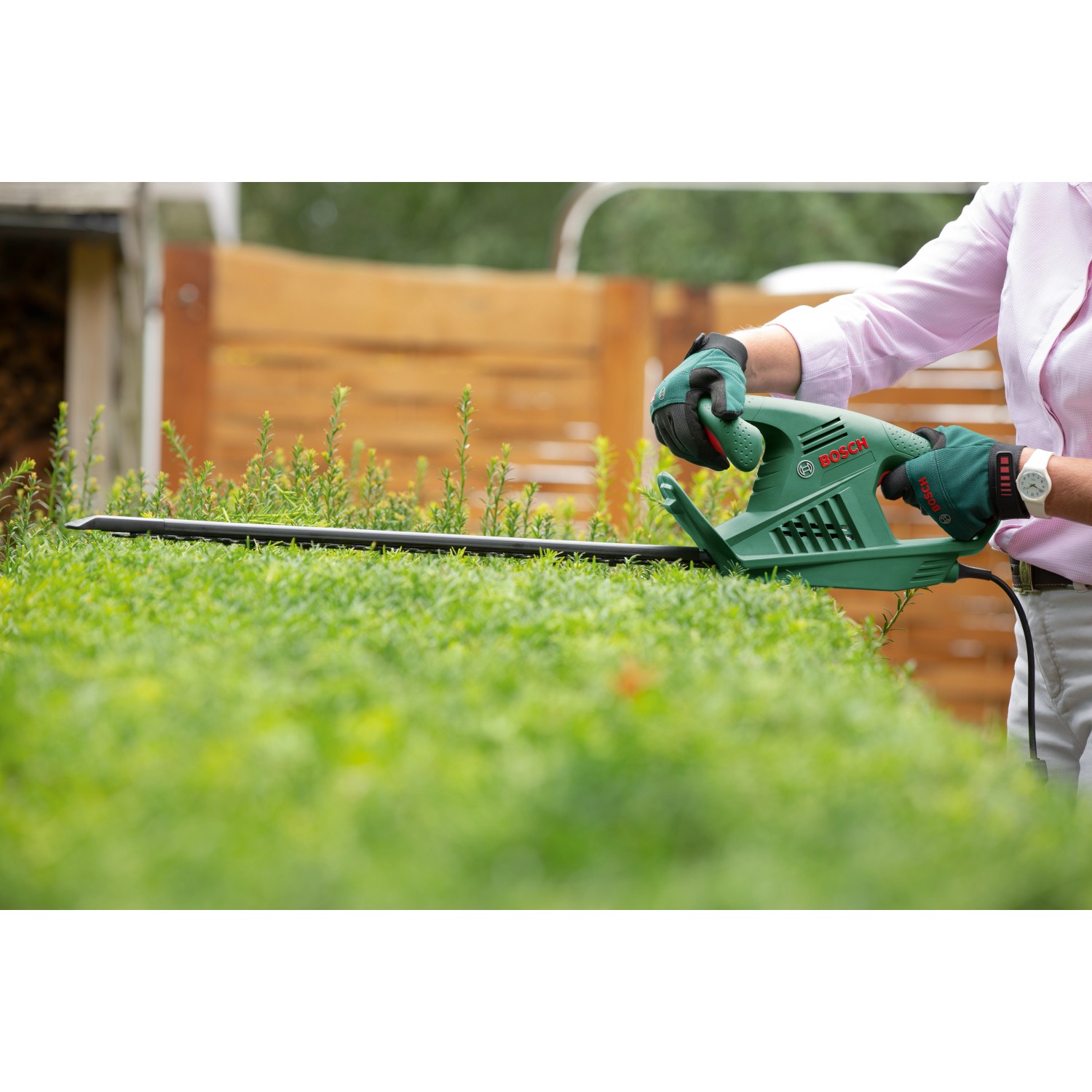 Bosch EasyHedgeCut 55 Elektro-Heckenschere im Einsatz beim Heckenschneiden.
