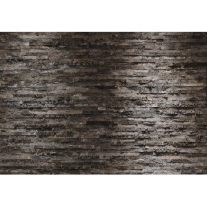 Komar Fototapete Birkenrinde 368 cm x 254 cm FSC®