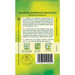 Samentüte Quedlinburger Australisches Gänseblümchen Blau, einjährig, für Beet und Balkon.