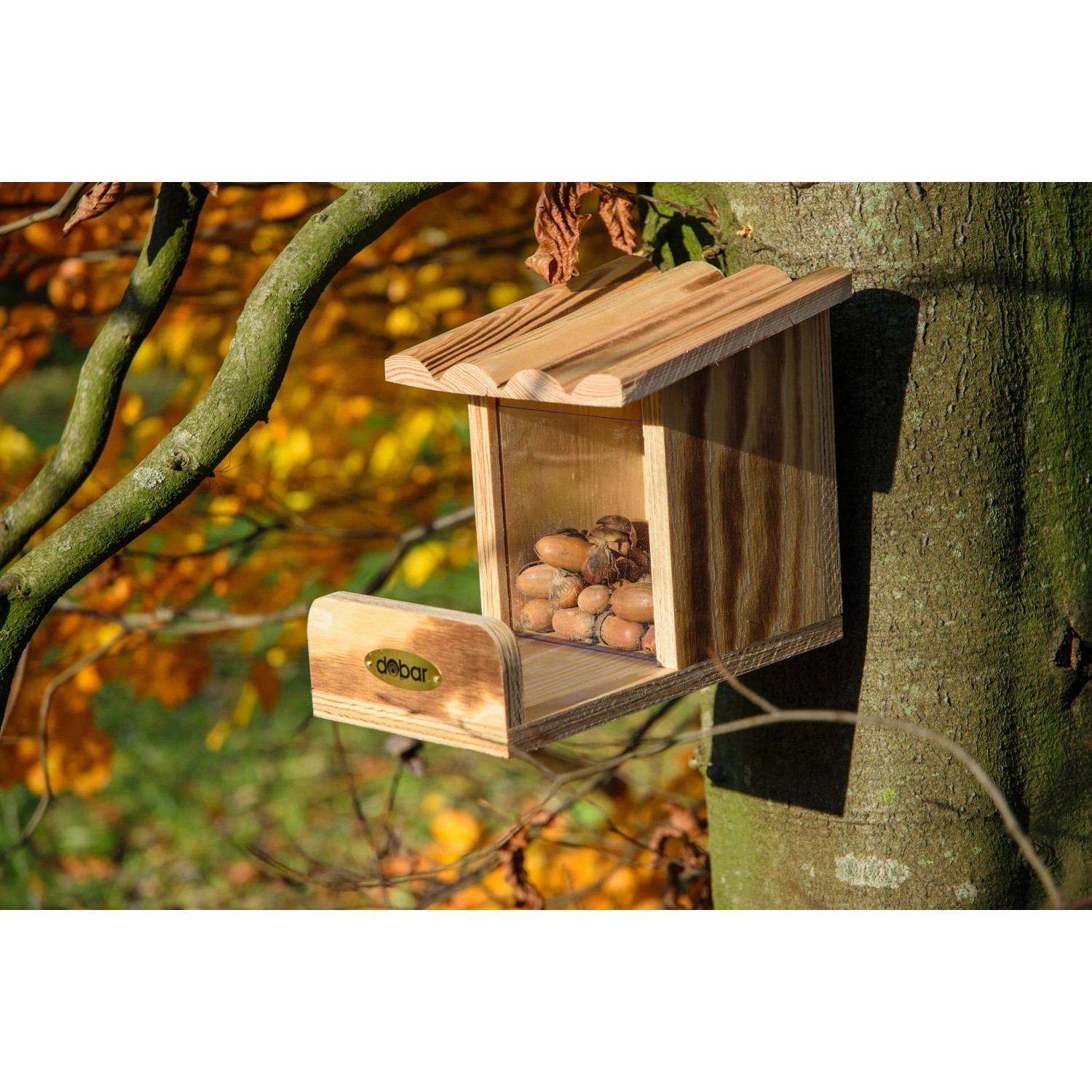 Birds Choice Eichhörnchen-Futterstation – Aus Recyceltem Material, Mit Sichtfenster, 18x30x30 Cm