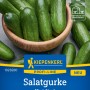 Kiepenkerl Salatgurke Miné-Star Samen: Mini-Gurken in Holzschale, widerstandsfähige Sorte für Garten & Gewächshaus.