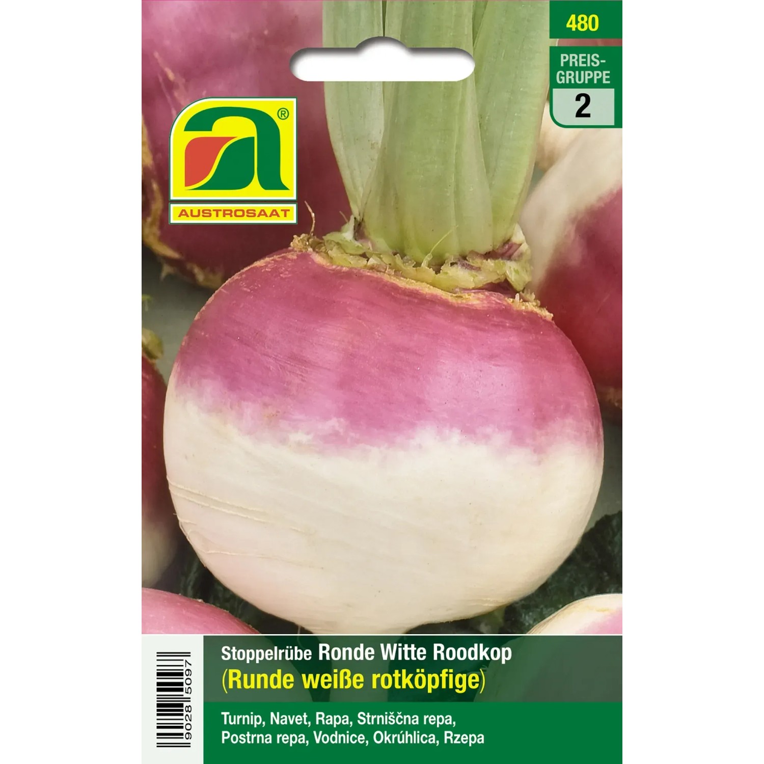 Austrosaat Saatgut Mairben "Ronde Witte Roodkop" Brassica Rapa L. kaufen  bei OBI