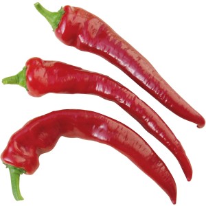 Drei rote, längliche Peperoni der Sorte Grow by OBI im Topf, Fruchtgemüse.