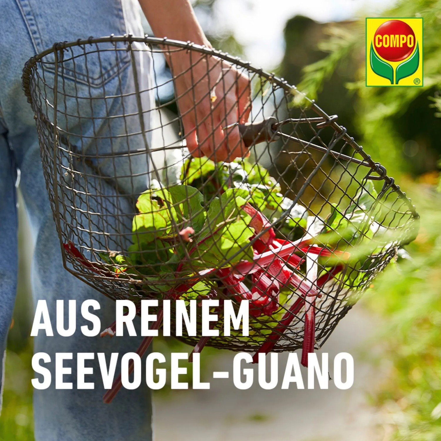 alo.bg deutsch ALAVA balance board