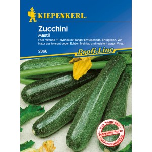 Kiepenkerl Profi-Line Zucchini Mastil Samen, ertragreich und resistent.
