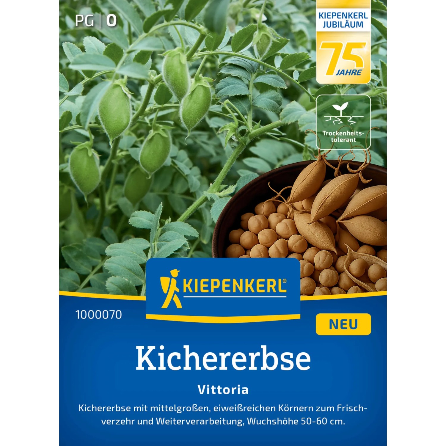 brokkolisamen sulforaphangehalt Bio Brokkolisamen Gekeimt Pulver online kaufen