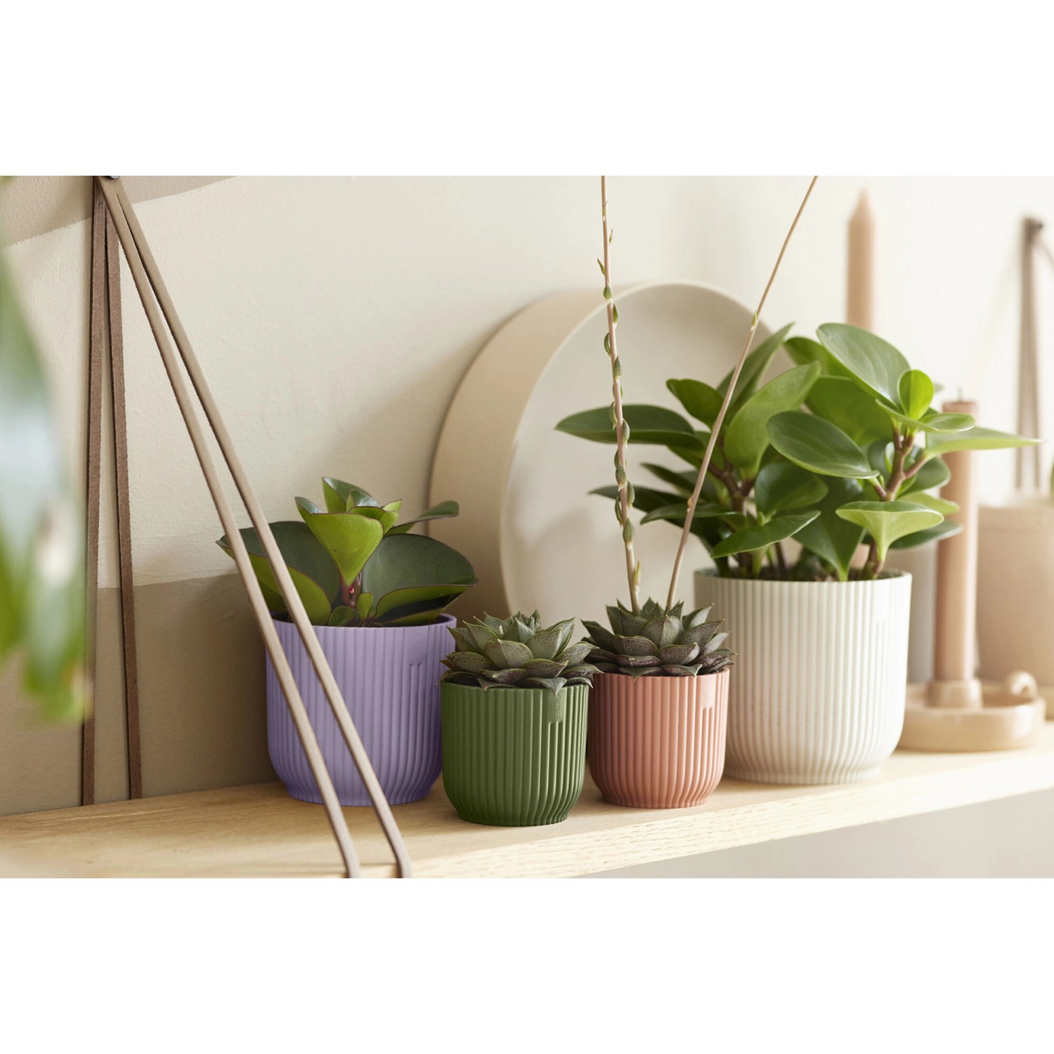 Elho Blumentopf Vibes Fold Rund Mini Ø 7 cm Lila_5