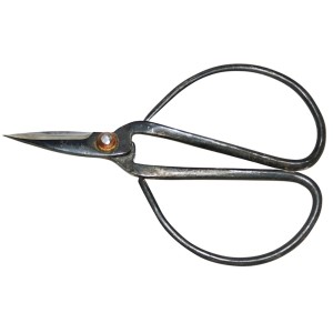 Kleine Bonsai Schere zum präzisen Schneiden und Pflegen von Zimmerbonsai.