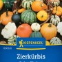 Kiepenkerl Zierkürbis Essbare Mischung, mehrfarbige Kürbisse im Korb.
