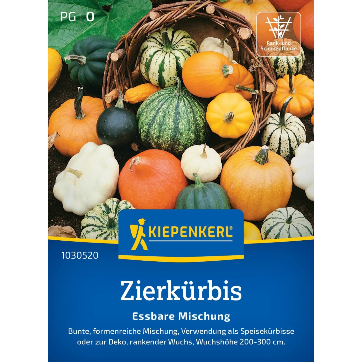 Kiepenkerl Zierkürbis Essbare Mischung, mehrfarbige Kürbisse im Korb.