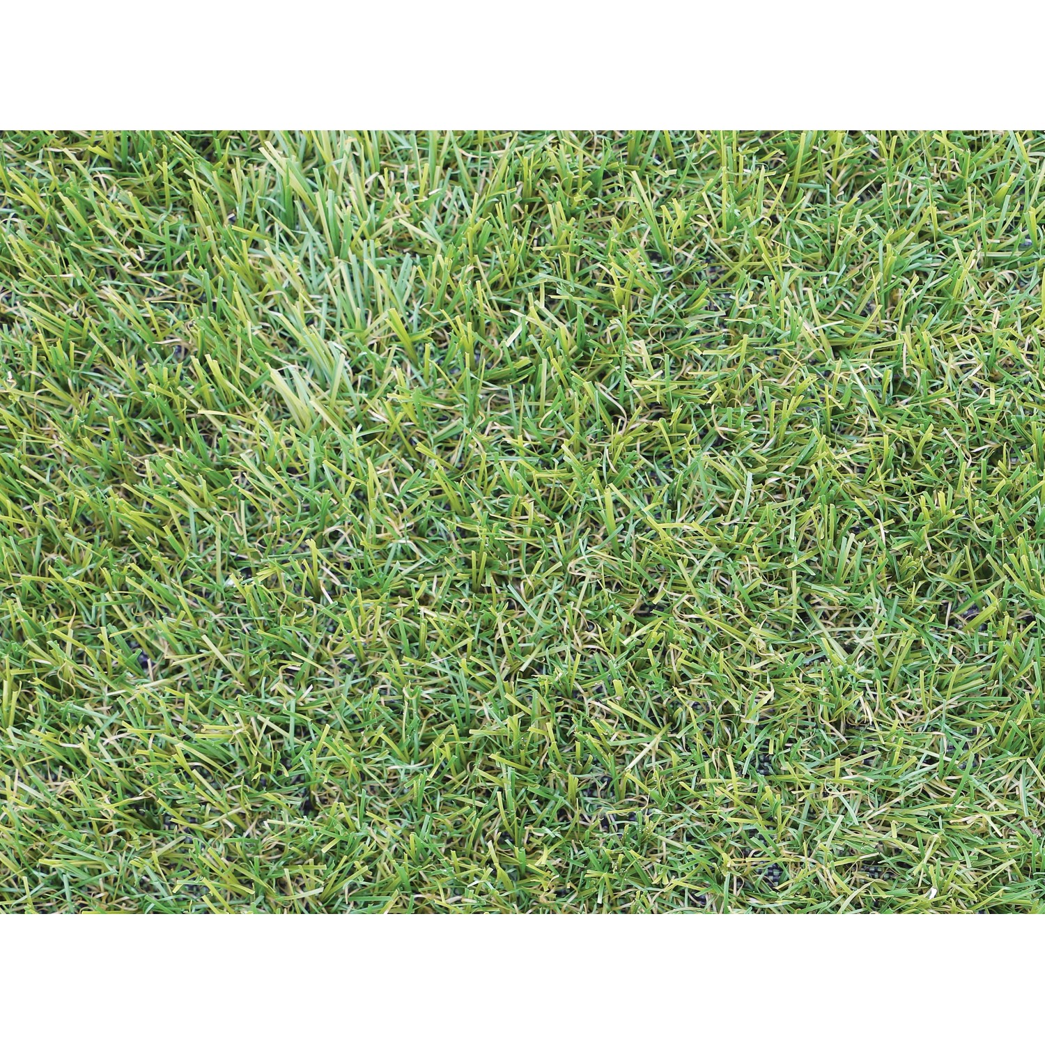 Detailaufnahme Kunstrasen-Teppich, 2x3 m, grüne Gras-Optik, Florhöhe 15mm.
