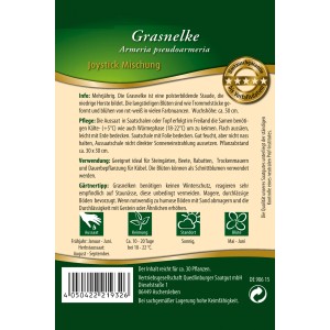 Quedlinburger Grasnelken 'Joystick Mischung', Blumensamen für farbenfrohe Beete.