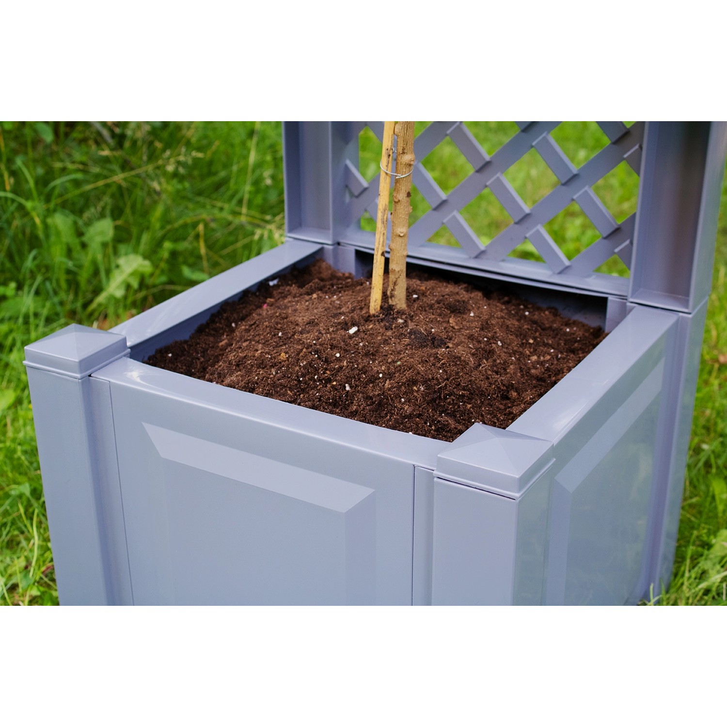 Grauer KHW Pflanzkasten klein mit Spalier, bepflanzt mit kleinem Baum, für Terrasse und Garten.