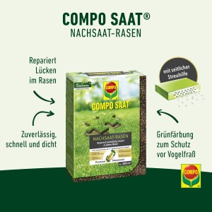 Compo Rasen Nachsaat 2 kg Packung zur Reparatur von Rasenlücken, mit Streuhilfe und Grünfärbung.