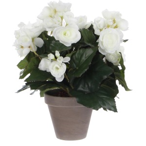 Weiße Kunstblume Begonie im Terrakotta-Topf, 30 cm hoch, ideal als pflegeleichte Dekoration.