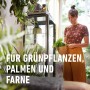 Compo Sana Grünpflanzen- und Palmenerde 10 l_7