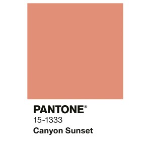 Alpina Innenfarbe Pantone Canyon Sunset: matter, orange-roter Farbton für Wände.