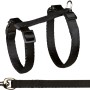 Schwarzes Jollypaw Katzengeschirr mit Leine, verstellbar von 26-43 cm, für sichere Spaziergänge mit der Katze.
