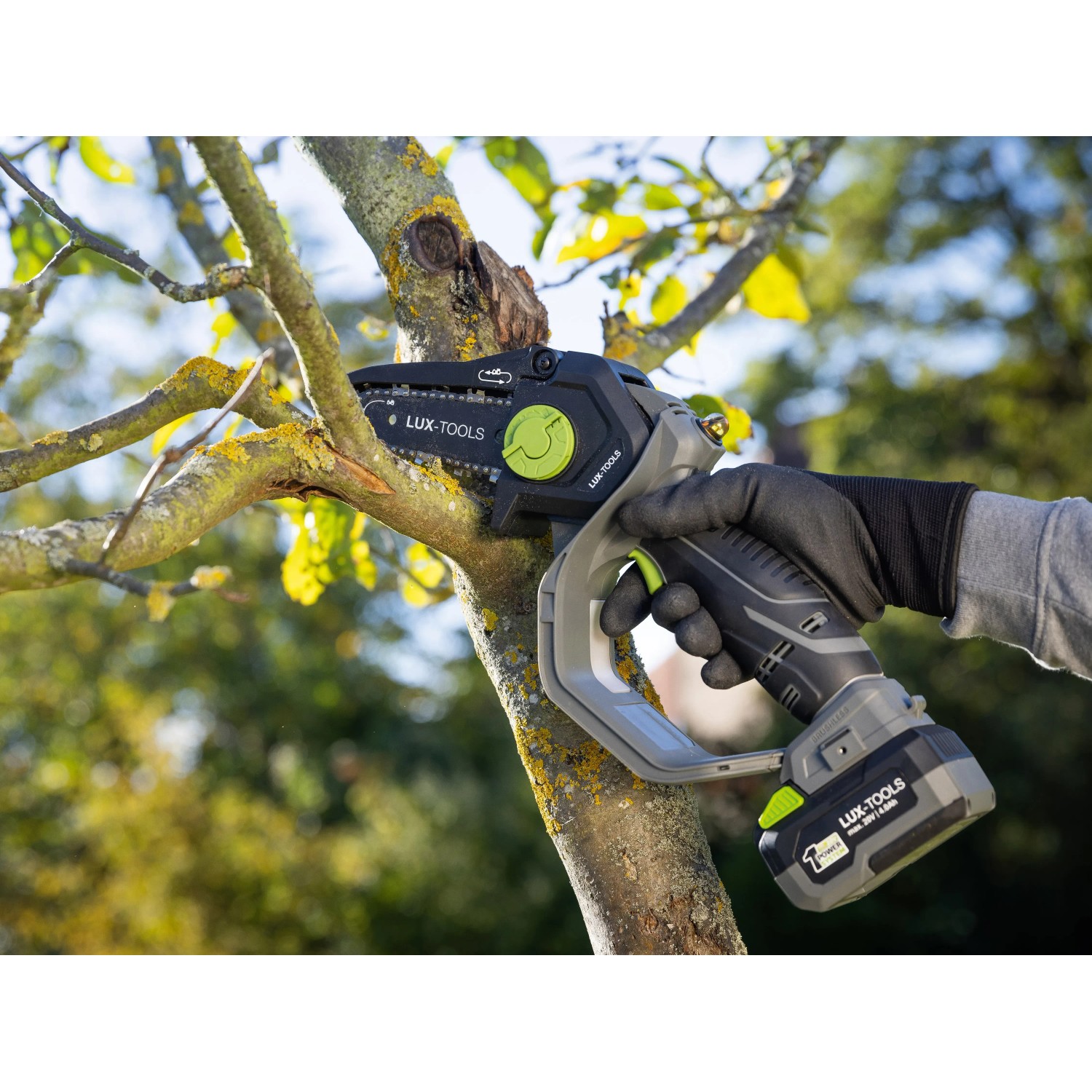 LUX-TOOLS Akku-Astsäge A-EAS-20/154 beim Schneiden eines Astes. Kompakte Akku-Kettensäge für Gartenarbeiten.