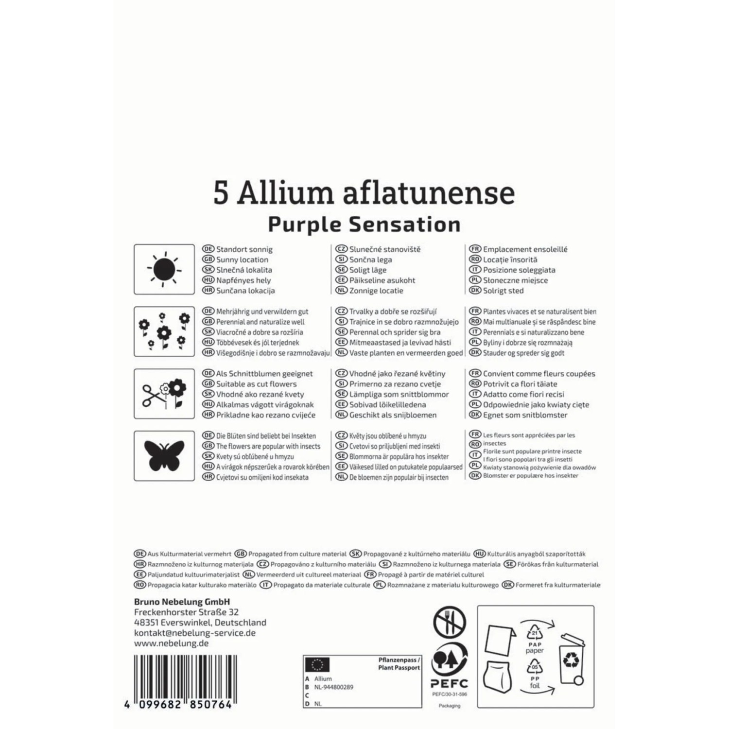 Kiepenkerl Zierlauch Purple Sensation, 5 Stück Blumenzwiebeln.