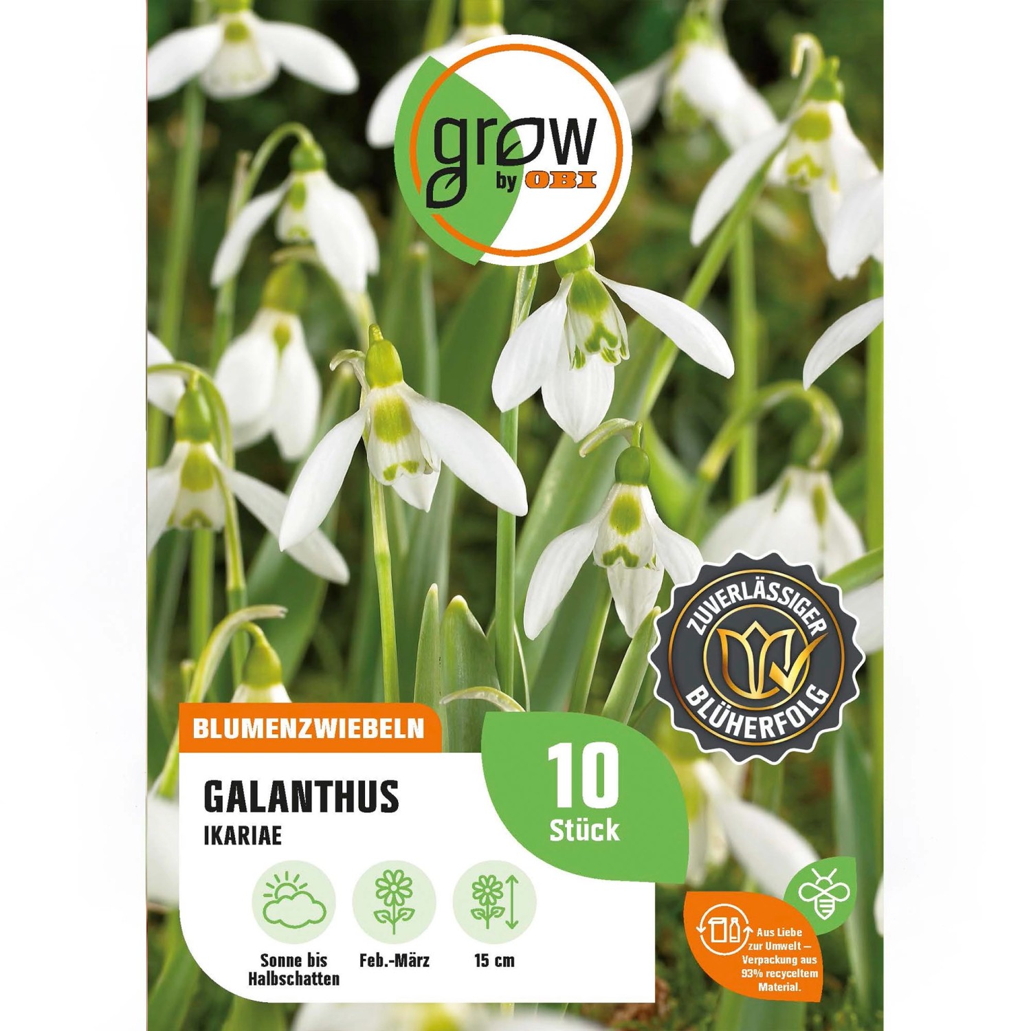 GROW by OBI IkariaSchneeglöckchen Weiß 15 cm Galanthus ikariae kaufen