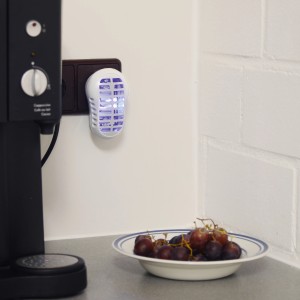 Gardigo Obstfliegenvernichter im Einsatz neben Obstschale und Kaffeemaschine.