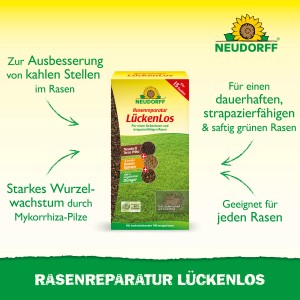 Neudorff Rasenreparatur Lückenlos 1,2kg Packung. Rasensamen zur schnellen Reparatur von kahlen Stellen im Rasen.