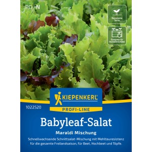 Kiepenkerl Babyleaf-Salat Maraldi Mischung, bunter Pflücksalat für Beet und Hochbeet.