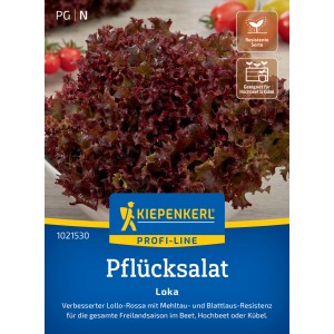 Kiepenkerl Pflücksalat Loka, roter Lollo Rossa Salat mit gekräuselten Blättern auf der Saatgutpackung.